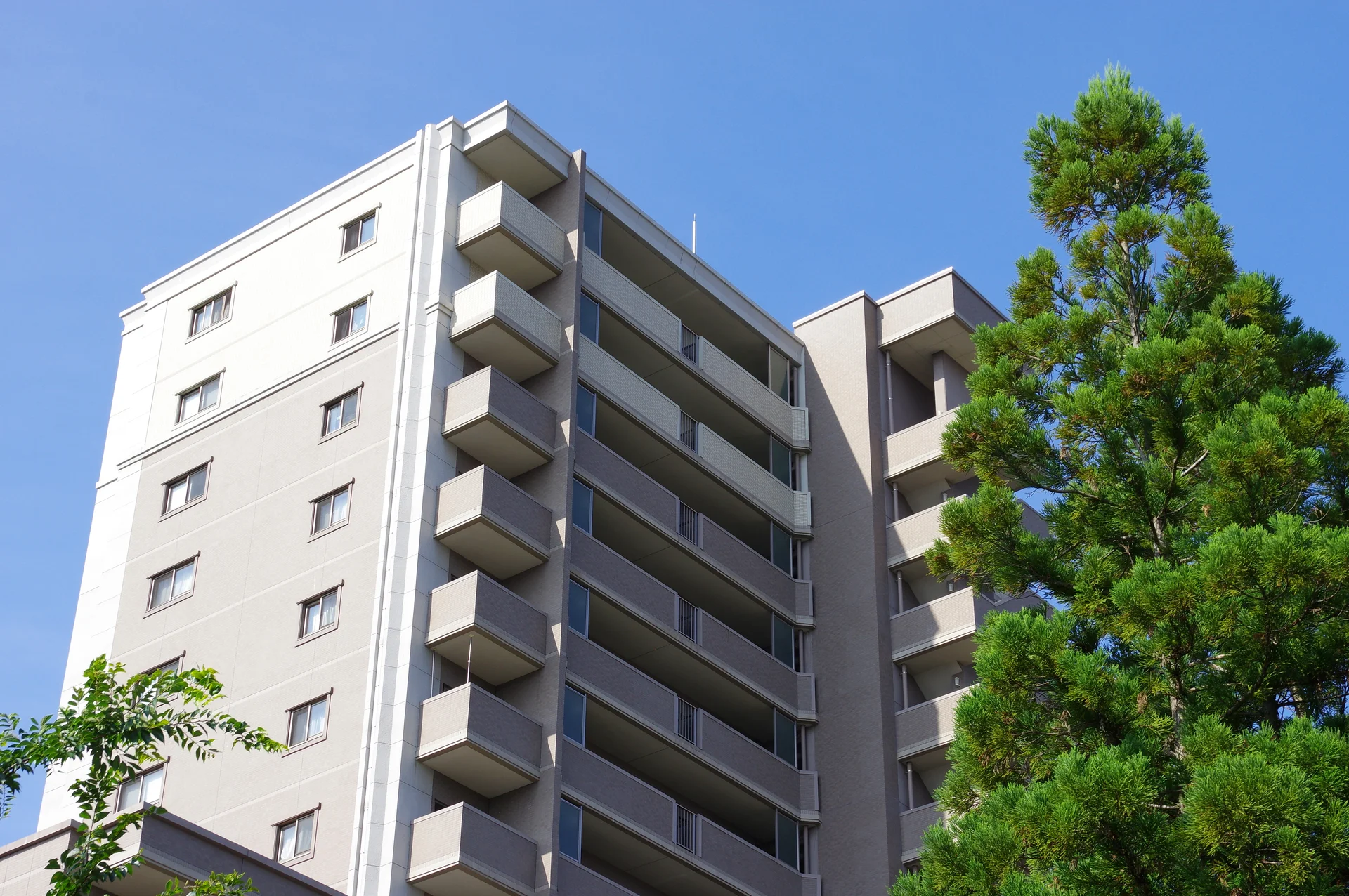 仲介業者様向け